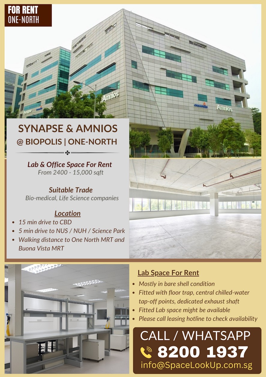 Lab For Rent at Synapse - Biopolis| 10 min to MRT