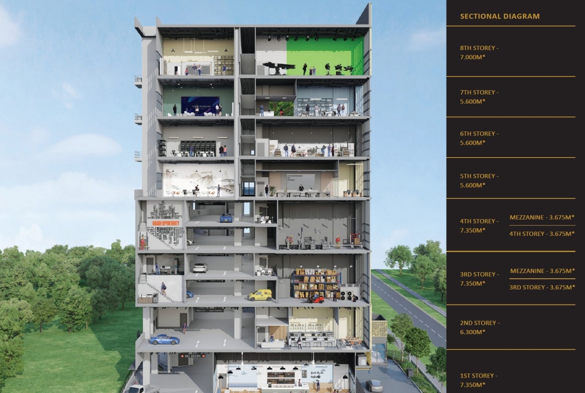 CT Gold Elevation Plan